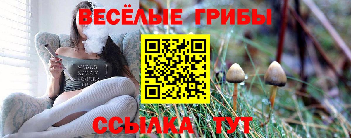 Видное  Псилоцибиновые грибы Psilocybe  купить наркотик  Вход с VPN  Галлюциногенные грибы мухоморы 